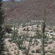 IMG 0030 (2)